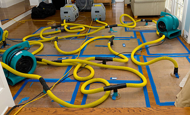 Professional Flood Damage Restoration technician working in Warrington, FL